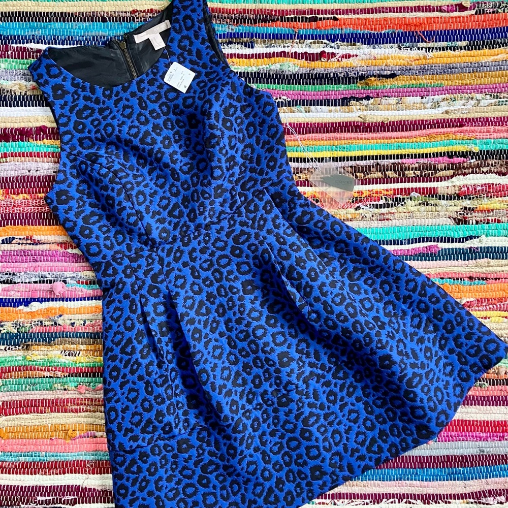 NWT ~ Forever 21 ~ Blue and black leopard print fit & flare mini dress
